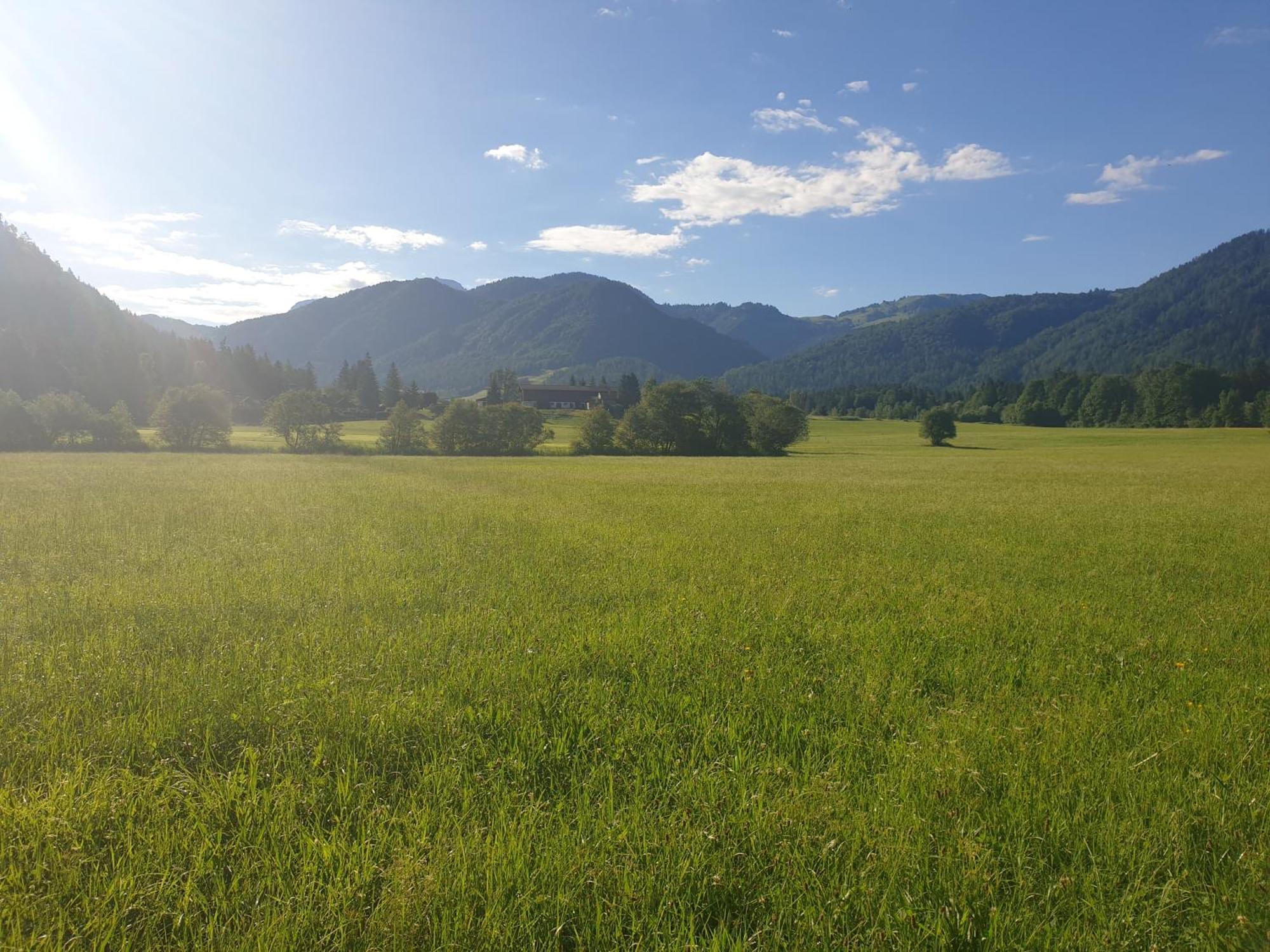 Appartementhaus Huettenberger Erpfendorf Zewnętrze zdjęcie