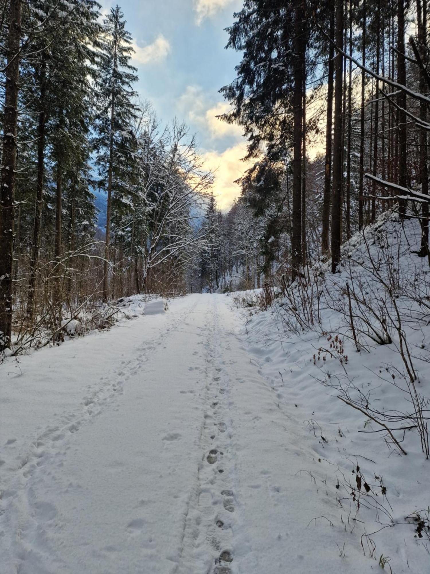 Appartementhaus Huettenberger Erpfendorf Zewnętrze zdjęcie
